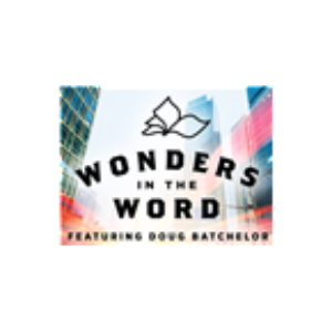 Wonders In The World-logo