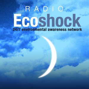 Ecoshock-logo