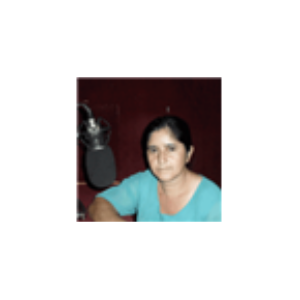 Mulher Virtuosa-logo