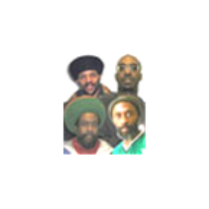 The Roots n Dub Show-logo