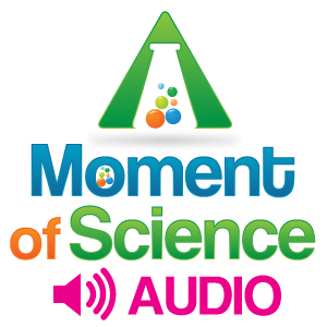 A Moment of Science