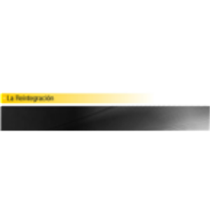La Reintegración-logo
