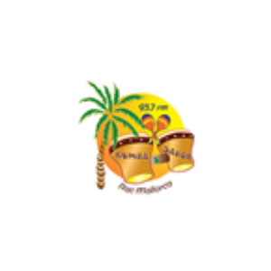 Rumba y Sabor-logo