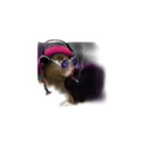 The Marvin Hamster Music Emporium