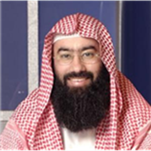 TÉLÉCHARGER NABIL 3AWADI