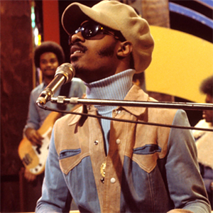 Stevie Wonder - Artist Collection