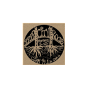 Border City Roots-logo