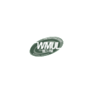 Sportsview-logo