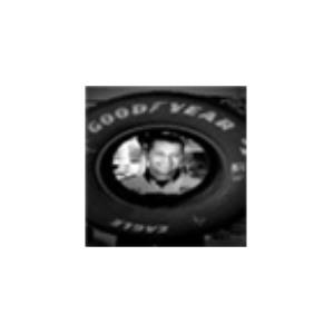 Nascar Steve-logo