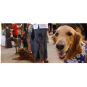 It's Raining Cats and Dogs-logo