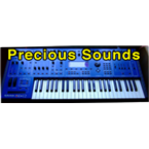 Precious Sounds-logo