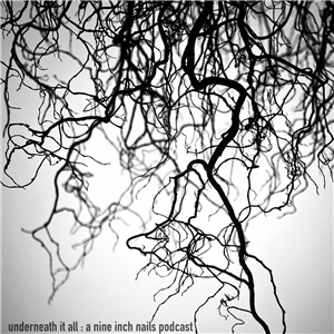Underneath It All: A Nine Inch Nails Podcast-logo