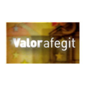Valor Afegit-logo