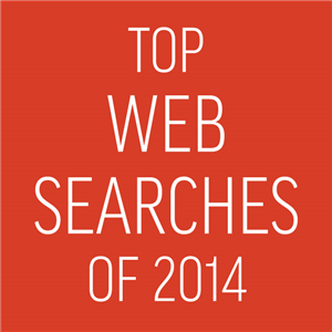 Top Web Searches of 2014