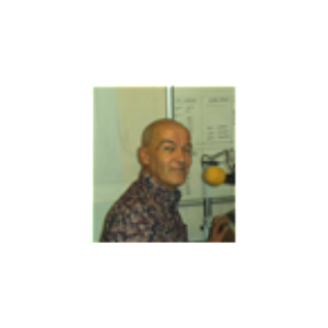 The Paul Groovy Show-logo