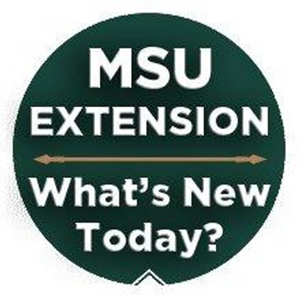 MSU Extension Report-logo