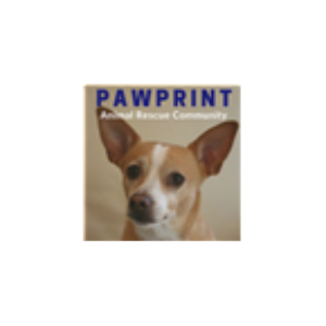 168: Bay Area Pet Fair 2018 Part 3: Palomacy Pigeon Adoptions and Others