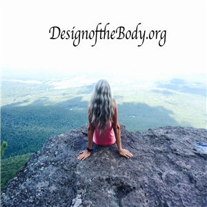 Design of the Body-logo
