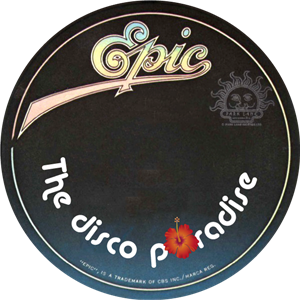 12 Inch Disco from the Epic label