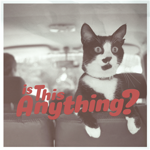 Is This Anything?-logo