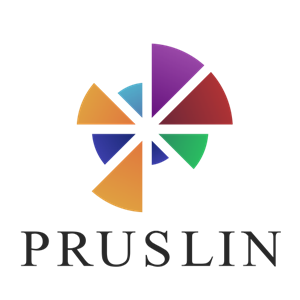Terms of successful life Pruslin.Ru-logo