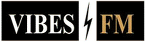 Vibes Total Recall-logo