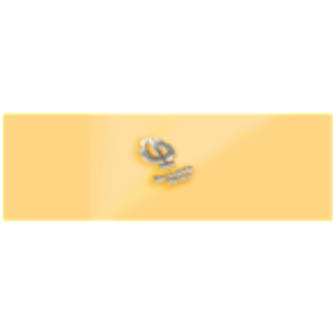 Switch FM Haiti-logo