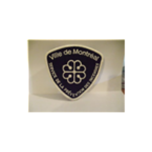 Montreal Fire SSIM-logo