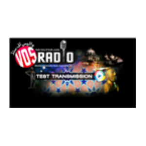 Radio Voice of Sindh