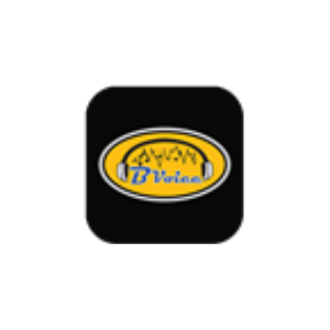 BVoice Radio-logo