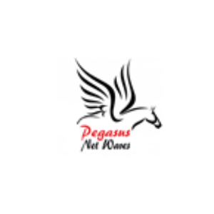 Pegasus Net Waves-logo