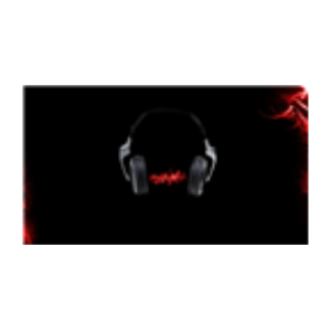 Rj Malik and Rj Bilal-logo