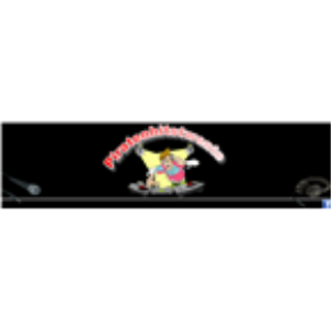 Piratenhitstwente.nl-logo