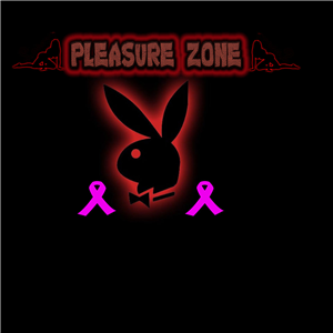 pleasure zone-logo