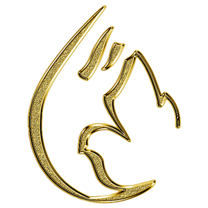 stereo Jesus-logo