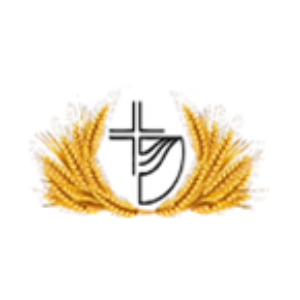 Radio Una Luz en las Naciones-logo