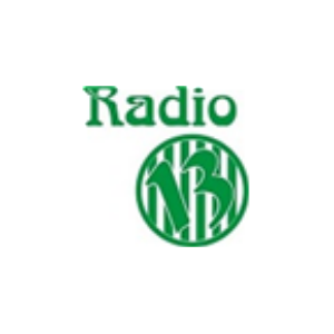 VERDE13 RADIO-logo