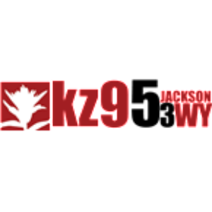 KZ95-logo
