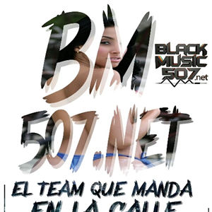 BlackMusic507.NeT-logo