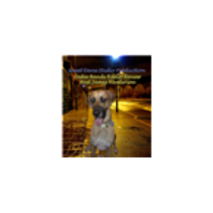 Indie Bands Radio-logo