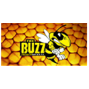 Assiniboia's Rock Station, The Buzz-logo