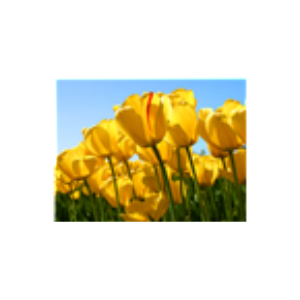 Radio Reference Inter-logo