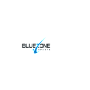 Blue Zone Sports-logo