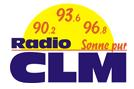 Логотип бак 93. 93 2 fm. Радио 1. 93. Рфм.